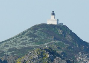 Phare sur l'île Sanguinaire en Corse au large du golfe d'Ajaccio